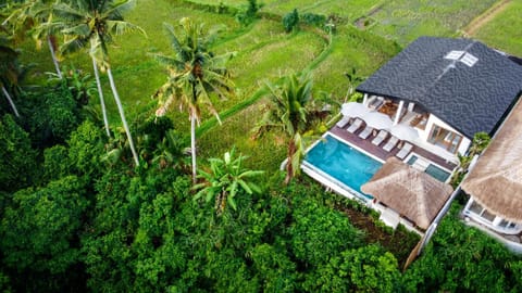 Property building, Bird's eye view, Swimming pool