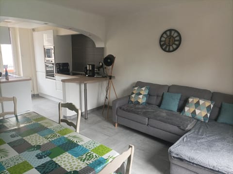 A l'ombre du Lilas avec terrasse - possibilité Spa privatif Apartment in Vosges