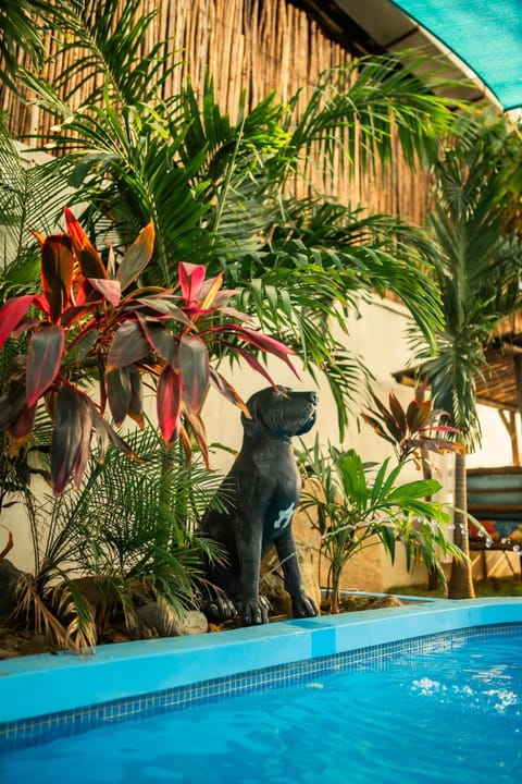 Garden view, Pool view, Swimming pool