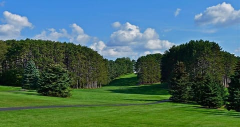Golf 27 holes Family Solo Eco Resort Wisconsin Dells 10 minutes Ski & Tubing 2 Bedroom Suites Full Kitchen Living Room Patio Apartment hotel in Dellona
