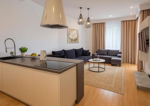 TV and multimedia, Kitchen or kitchenette, Living room, Seating area