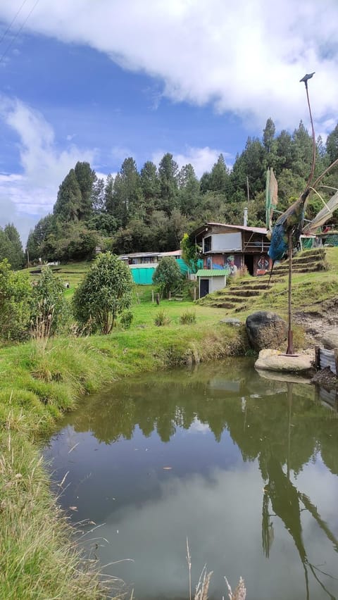 Lake view