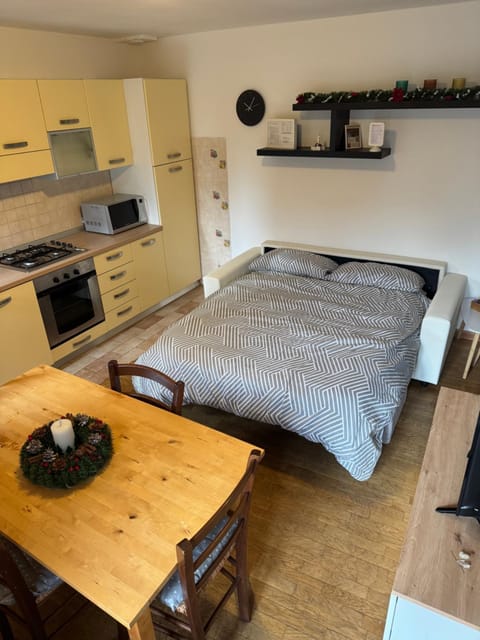 Bed, Kitchen or kitchenette, Dining area, oven, stove