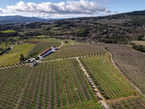 Day, Natural landscape, Bird's eye view, Mountain view