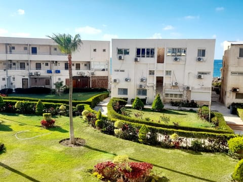 Garden, Garden view