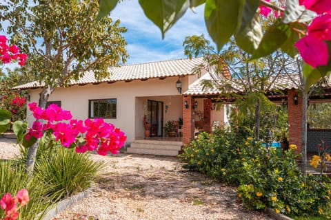 Property building, Spring, Garden, Garden view