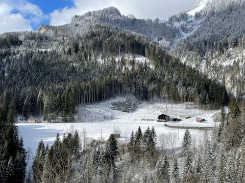 Natural landscape, Winter, Mountain view