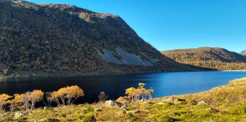 Natural landscape, Lake view, Mountain view