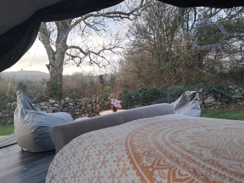 Natural landscape, Garden, Seating area, Garden view