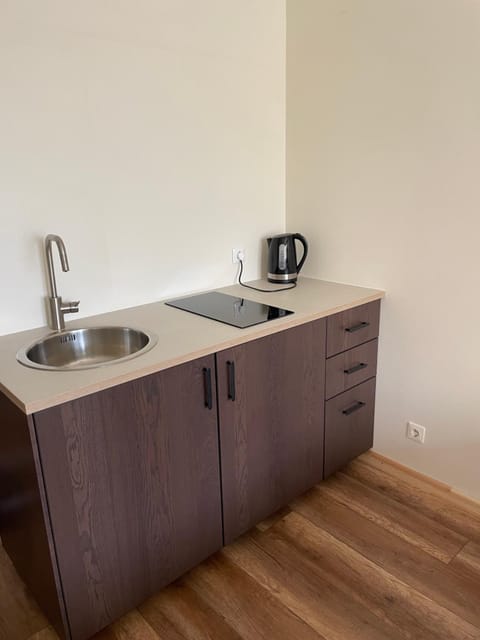 Kornelija Apartment in Palanga