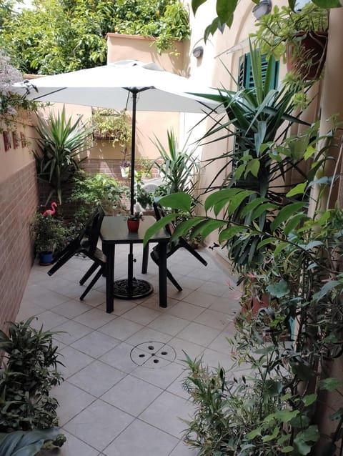 Garden, Garden, Garden view