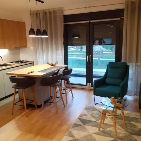 Kitchen or kitchenette, Dining area