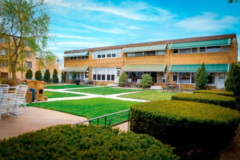 Garden, Garden view, Inner courtyard view