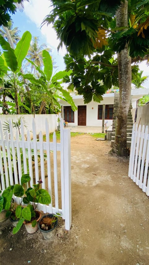 Property building, Day, Garden
