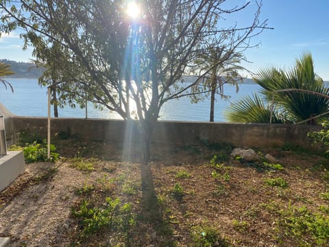 Patio, Garden, Garden, Sea view