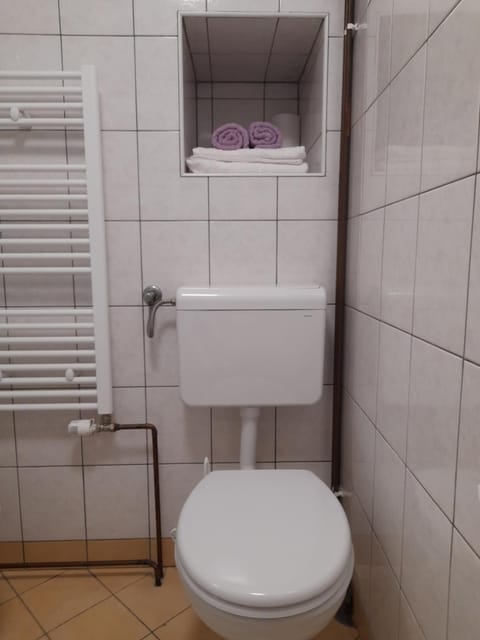 Apartma Lena Apartment in Friuli-Venezia Giulia