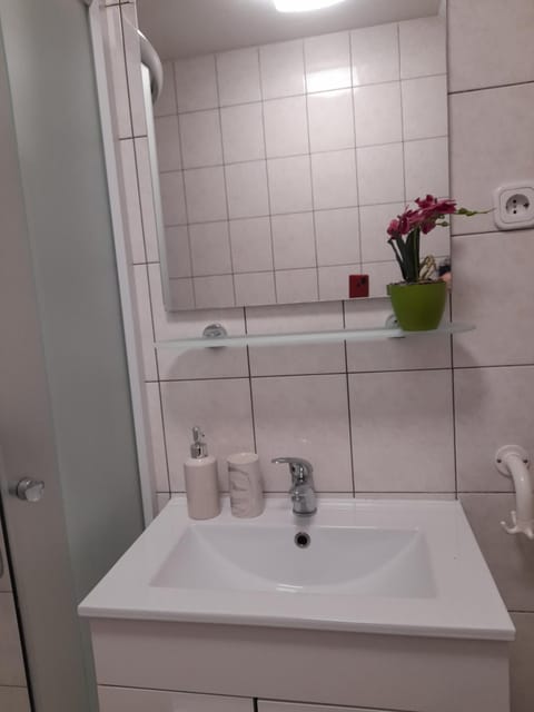 Apartma Lena Apartment in Friuli-Venezia Giulia