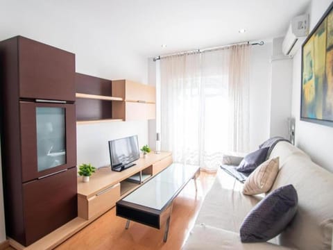 Day, TV and multimedia, Living room, air conditioner