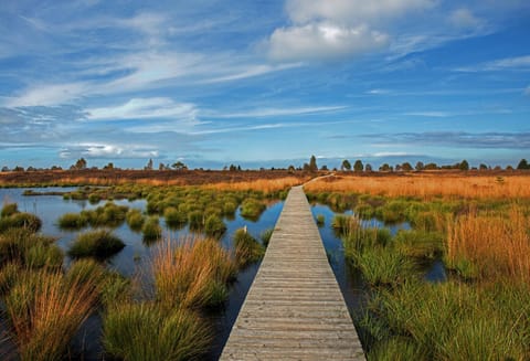 Holiday Apartment 4you Apartment in Wallonia, Belgium