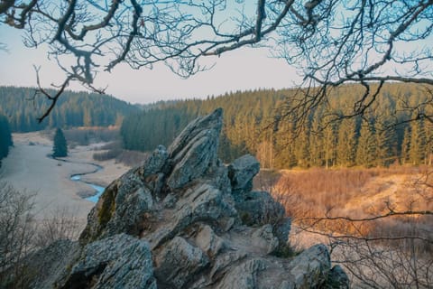 Holiday Apartment 4you Apartment in Wallonia, Belgium