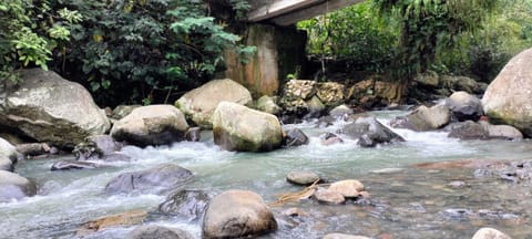 Natural landscape, Activities, Hiking, River view