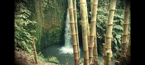 Nearby landmark, Natural landscape, Activities, Aqua park, Lake view, River view