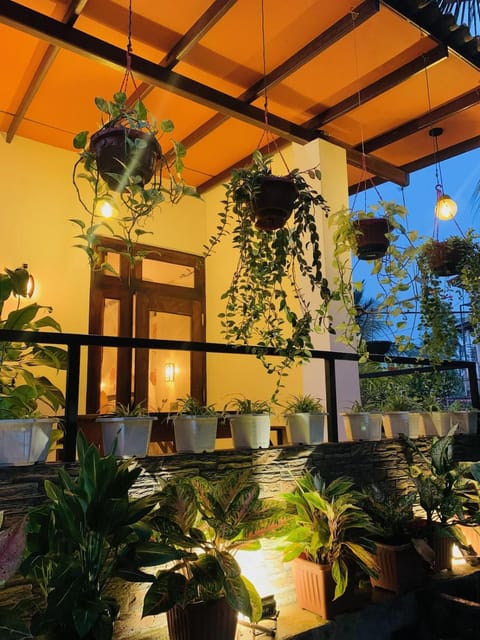 Patio, Garden view