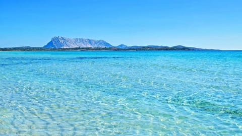 CASA GIULIA Apartment in Olbia