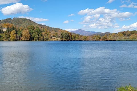 Lakeshore Living House in Lake Junaluska