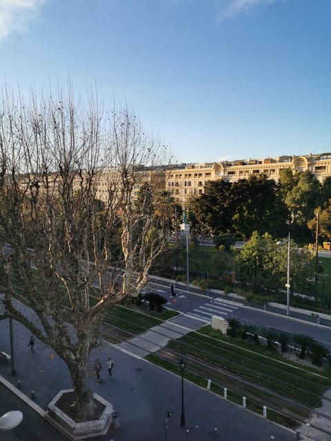 Property view