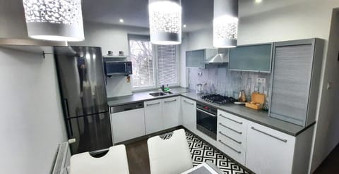Kitchen or kitchenette, dishwasher, oven, stove
