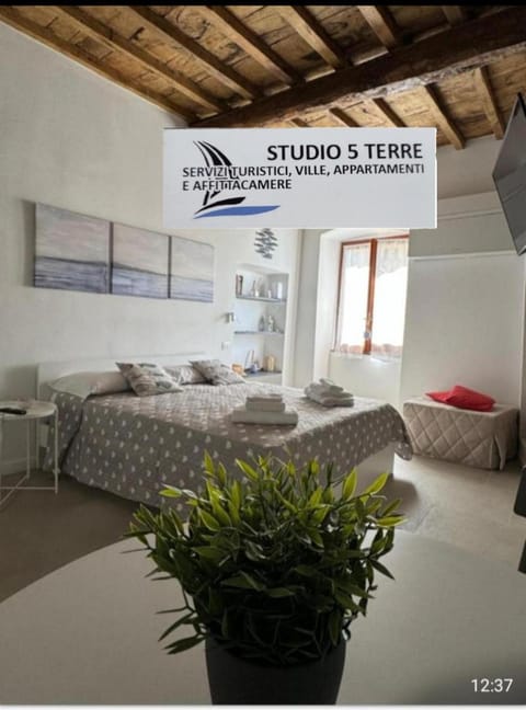 Bed, Living room, Photo of the whole room