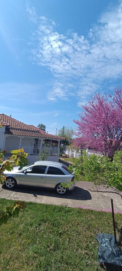 Vasiliki's guest house House in Halkidiki