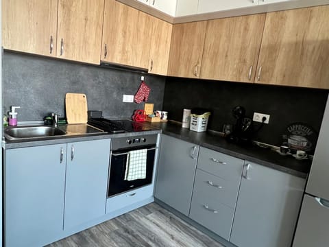 Coffee/tea facilities, Kitchen or kitchenette, Area and facilities, dishwasher, pet friendly, storage, stove, toaster, towels