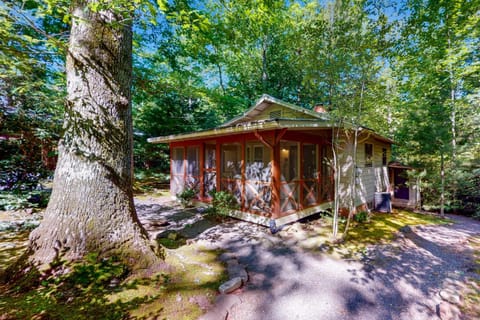 Pine Retreat Cottage House in Black Mountain