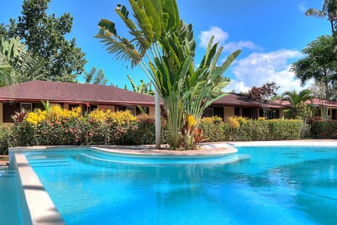 Garden, Swimming pool, Swimming pool