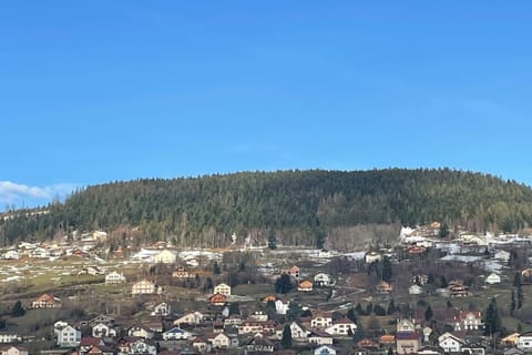 Bright nest with mountain view in Gérardmer Apartment in Gérardmer