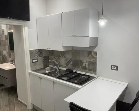 Kitchen or kitchenette, kitchen