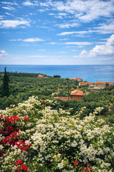 Papanestoras Apartments Apartment in Messenia