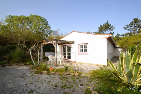 Patio, Garden, Garden view