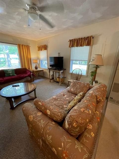 BASS COVE 1 LIMIT 6 home House in Naples