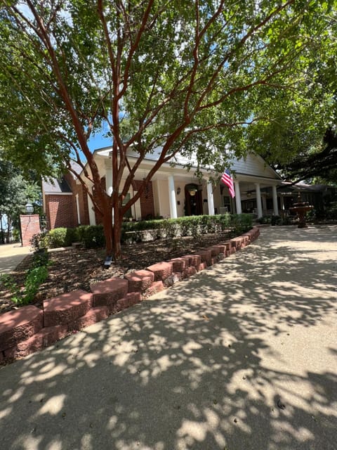 Property building, Garden view