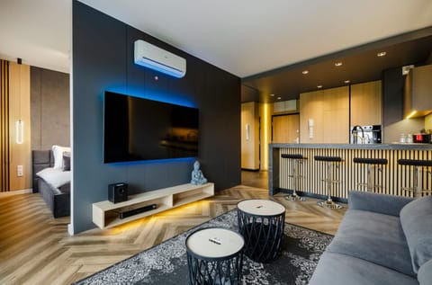TV and multimedia, Kitchen or kitchenette, Living room, Seating area, air conditioner
