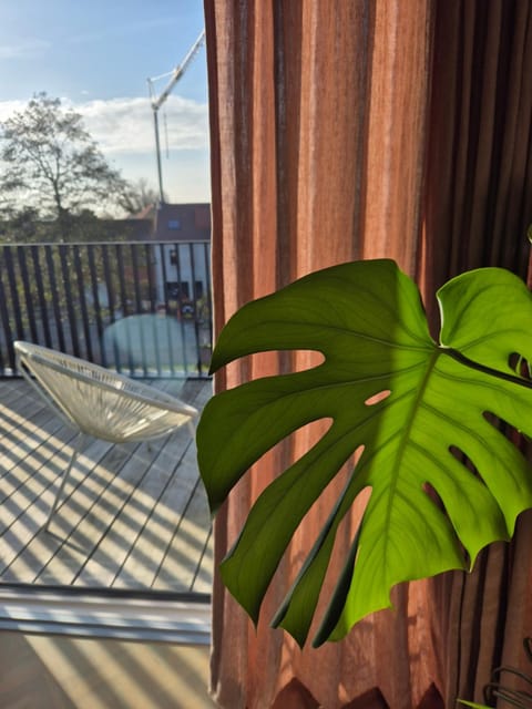 Julie's appartement aan zee - JAAZ Apartment in Koksijde