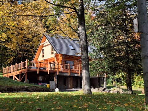 Property building, Spring, Day, Natural landscape