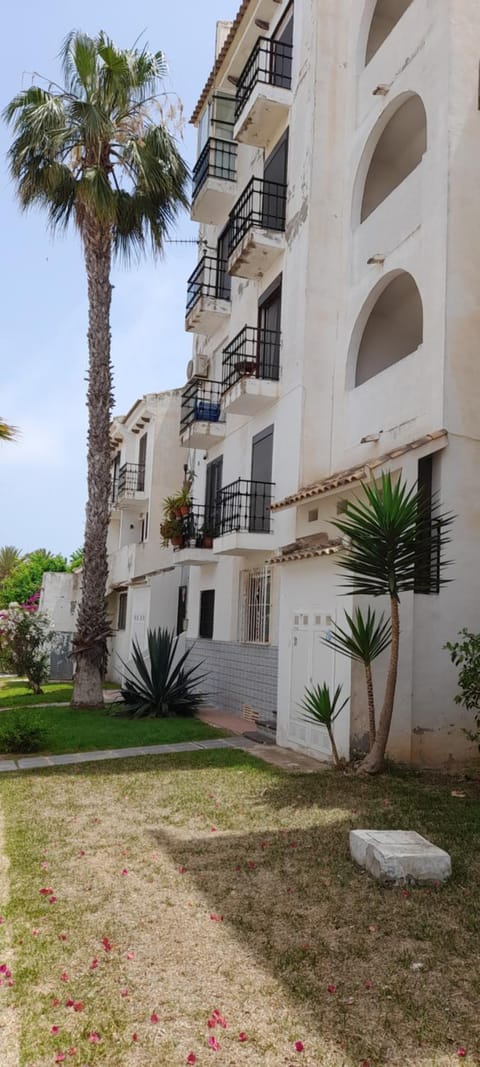 Property building, Garden view