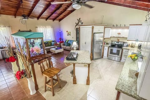 Living room, kitchen