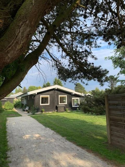 Property building, Spring, Day, Garden