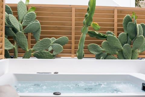 ABA Ηospitalité Paros -The Superior Suite, Naousa Apartment in Naousa