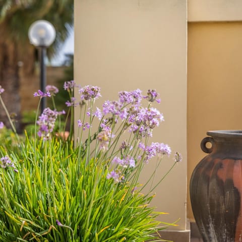 Villa Margherita Villa in Malta